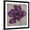 Black Frame, variant on Art.com Black Plum 2 Stretched Canvas Print Wall Art by Ariane Martine, 30" x 30"