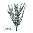 thumbnail image 2 of Clearance Under $5 FNGZ 10Pc Eucalyptus Branches,Dried Flower Bouquet Natural Air Dried Branches Light Creative Decorative Ornaments Photo Props,Household Imitation, 2 of 9
