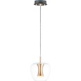 thumbnail image 1 of ET2 Lighting Newton Black/Gold LED Pendant Light with Clear Glass, 9W, 10" H, 1 of 7