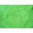 thumbnail image 1 of Ahgly Company Machine Washable Indoor Rectangle Transitional Neon Green Area Rugs, 5' x 8', 1 of 7