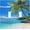 Tropical Beach, variant on Toggle Light Switch Cover Tropical Beach with Palm Trees & Ocean 2 Gang Gfci Decorative Wall Plate Coastal Wall Art for Bathroom Living Room Entryway Decor
