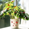 thumbnail image 3 of 100 Piezas de Mini Insectos de Resina, Pequeñas Mariquitas de Resina, Adornos Artesanales de Mariquitas de Plástico, Dijes de Resina de Mariquitas, 3 of 8