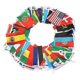 thumbnail image 1 of 100 Countries String Flag International Bunting Pennant Banner Decoration (ruipei), 1 of 5