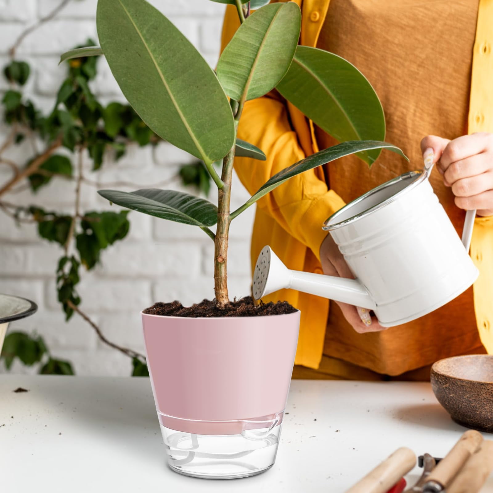 Samhe 6-Pack Self Watering Planters, 6 inch Plastic Self Watering Flower Pots with Drainage Holes and Saucers for Indoor Outdoor Plants