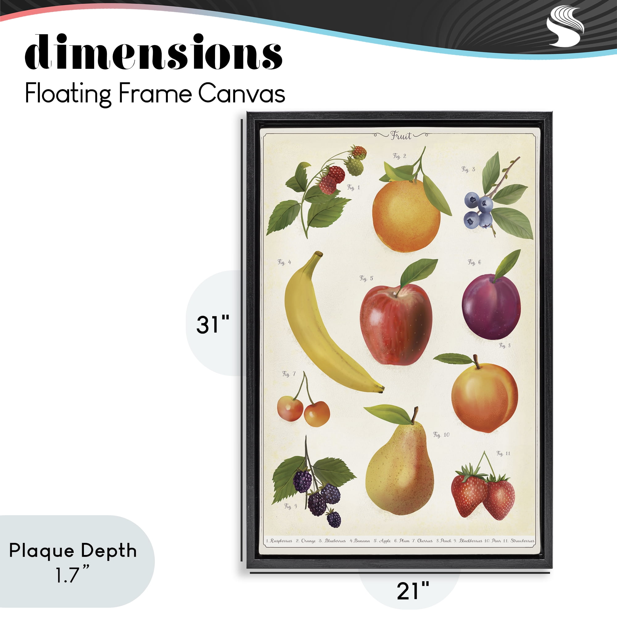 Stupell Industries Fruit Collection Studies Black Framed Floater Canvas Wall Art, design by Diane Neukirch