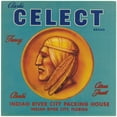 thumbnail image 2 of Anonymous 12x12 Gold Ornate Wood Frame and Double Matted Museum Art Print Titled - Clark's Celect Brand Fancy Citrus Fruit Label (1930-1950), 2 of 4