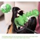 thumbnail image 4 of Juguetes masticables con ventosas para perros pequeños, medianos y grandes - Verde, 4 of 5