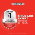 thumbnail image 6 of Sudafed PE Head Congestion Plus Mucus Sinus Decongestant, Guaifenesin, Phenylephrine HCI, 24 Count, 6 of 8