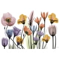 thumbnail image 2 of Art.com Flowerscape Portrait Art Print by Albert Koetsier, 36" x 24", 2 of 4