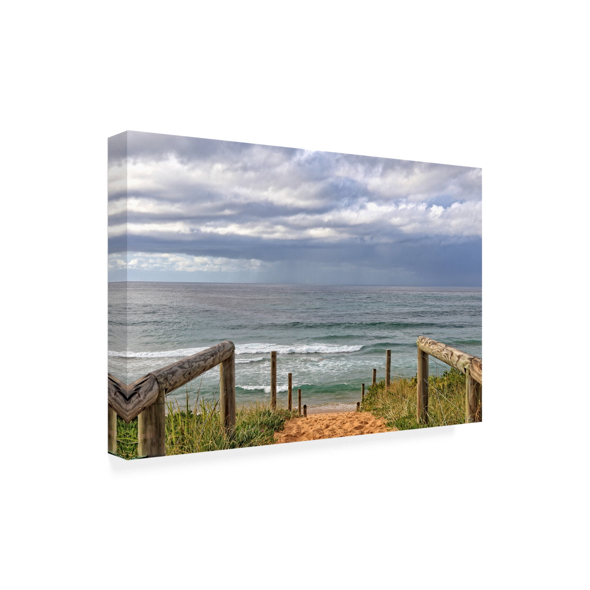 Trademark Fine Art 'BC Time to chill' Canvas Art by Beata Czyzowska Young
