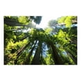 thumbnail image 3 of Tapiz de Paisaje Natural 150x130 cm, 3 of 8