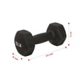thumbnail image 3 of Mancuerna de Neopreno 10 lb Sunny Health & Fitness (Par) SF-NO. 021-10-PAR, 3 of 6