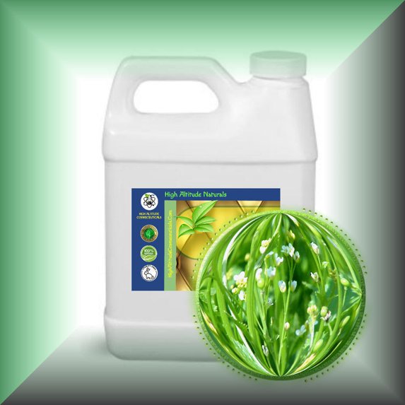 Crambe Abyssinica (Abyssinian) Seed Oil for Skin and Hair