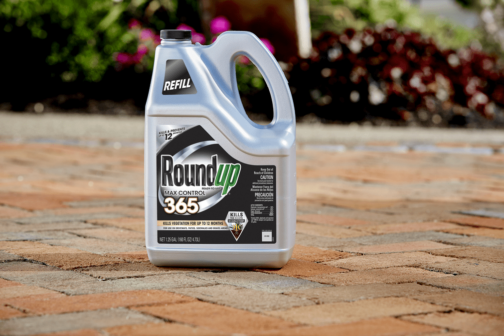 Roundup Ready-To-Use Max Control 365 Refill, 1.25 gal., Visible Results in 12 Hours - 1