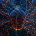 thumbnail image 5 of Home Bedclothes 3D Spider Printed Duvet Cover Set Teen Adult Highend Bedding Set Bedspreads,Queen (90"x90"), 5 of 6