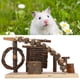 thumbnail image 5 of Escalera Para Hámster, Suministros Para Mascotas, Juguete Para Mascotas, Estable Para Hámster Animal ANGGREK Otros, 5 of 8