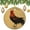 pattern-1444, variant on Christmas Tree Ornament Vintage Rooster Farmhouse Style Keepsake Gift Gift Ceramic Holiday Decoration Present Porcelain 3inch Flat with Gold Ribbon Both Sides Rooster Cocktail Christmas Ornaments