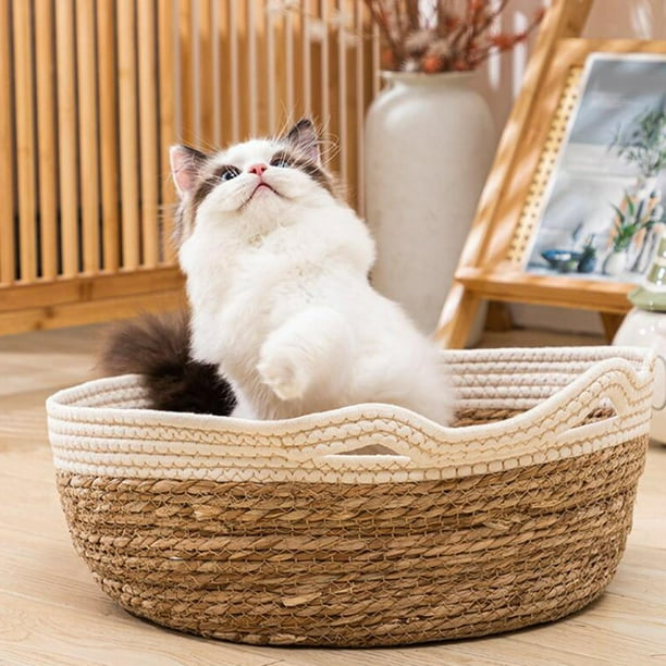 Basket cat on sale