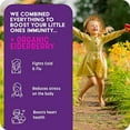thumbnail image 4 of GreenPeach Immune Syrup with Elderberry juice for Kids and Adults with Organic Ingredients, 4 of 5