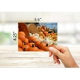 thumbnail image 3 of Small World Greetings Autumn Pumpkins and Gourds Cards 12 Count - Blank Inside with Envelopes - A2 Size (5.5”x4.25”) - Thanksgiving, Fall Events, Halloween, and More, 3 of 10