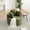 Green, variant on Leumius Corduroy Lounge Chair,Deep Seat Single Sofa with Pillow, Round Chaise Longue Chair for Living Room,No Assembly Required,Black