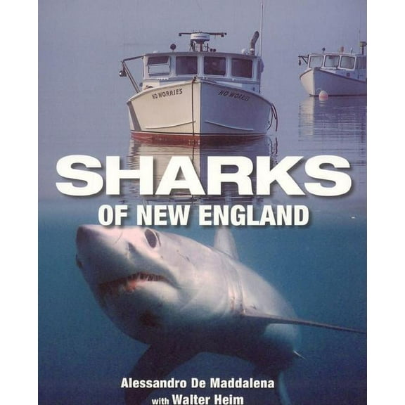 Sharks of New England, (Paperback)