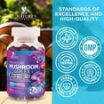thumbnail image 5 of Mushroom Gummies Supplement 12 in 1 - High Grade Blend for Adults with Lions Mane, Reishi, Cordyceps, & Chaga Mushroom Complex Gummy, Memory & Immune Support & Nootropic Brain Supplements, 60 Gummies, 5 of 10