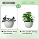 thumbnail image 5 of pstuiky Kit de tutores de malla plástica para musgo, ideales para plantas trepadoras. Soportes de malla para plantas compatibles con musgo sphagnum., 5 of 8