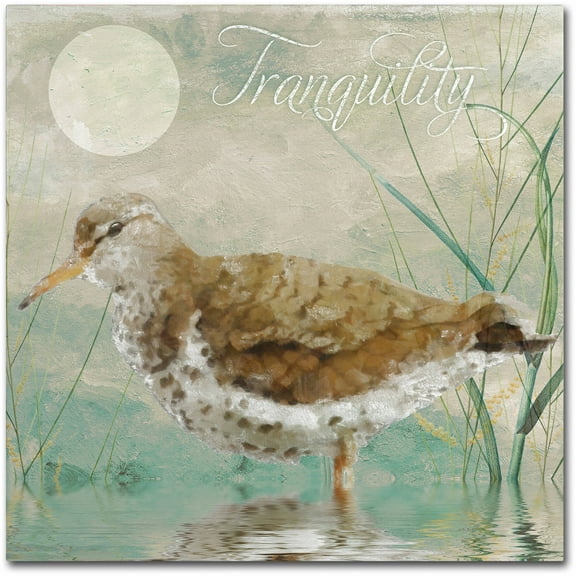 Trademark Fine Art "Sand Piper II" Canvas Art by Color Bakery