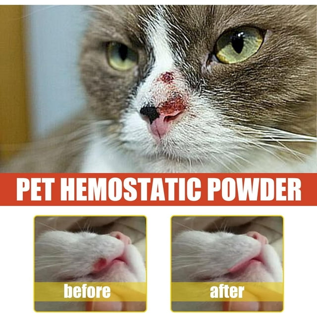 Styptic Powder Safe for Dogs and Cats, Recovery Medicated Styptic Powder for Dogs Cats Wound and Skin Care, Home Profession Aids Supplies Traumatic Hemostatic Powder 50ml