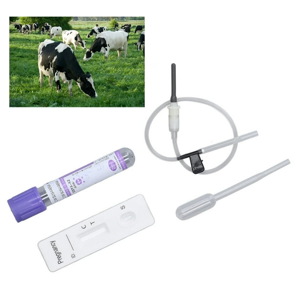 Fyydes Bovine Cow Rapid Early Pregnant Pregnancy Test Kit Pregnancy