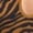 Brown, variant on Animal Print Long Sleeve Bodycon Dress