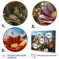 thumbnail image 3 of Designart "curious Wildflowers Bouquet" Floral Floater Framed Canvas Print, 3 of 7