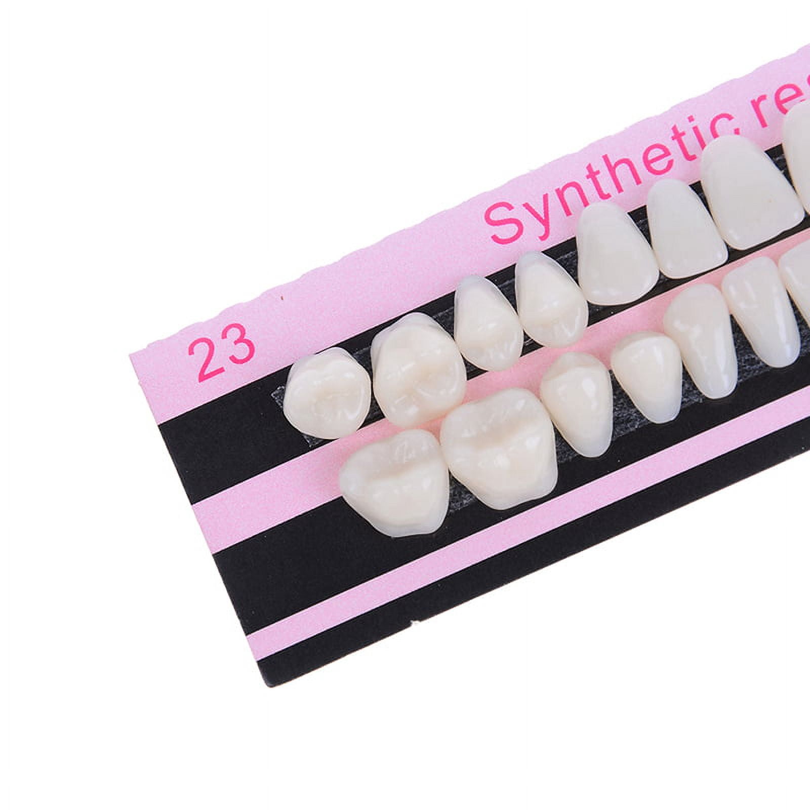 28Pc 1set denture acrylic resin full set teeth upper lower shade 23# A2 dental
