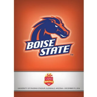 Boise State Broncos Pool Ball Set