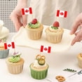 thumbnail image 5 of Country Flag Toothpicks | Cake And Burger Decorative Sticks | Flags For Themed Meals, 5 of 5