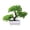Green-GN Home Decor, variant on karymi Decorative Potted Plants Simulation Flowers Indoor Home Furnishings Dining Table Arrangements Living Room TV Cabinet Potted Plants Gifts for Women Party Favors