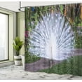thumbnail image 5 of Ambesonne Peacock Shower Curtain, Tropical Garden Feather, 69"Wx84"L, White Green, 5 of 5
