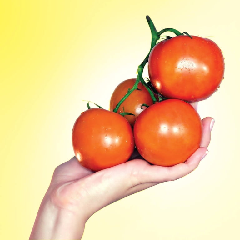 Fox Valley Traders Tomato Seed Starter Kit, 3pk with soil and