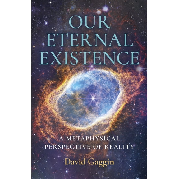 Our Eternal Existence : A Metaphysical Perspective of Reality (Paperback)