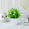 thumbnail image 6 of 2PCS Artificial Potted Small Greenery,Realistic Mini with Flowers for Indoor Home Decor,Desktop Table Centerpiece for Bathroom,Farmhouse Displays,Mother's Day,Christmas Gifts, 6 of 6