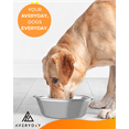 thumbnail image 6 of AVERYDAY 6 Cup Stainless Steel Dog Bowls for Dog Feeder Station, Pack of 2 Outdoor Dog Water Bowl Dog Food Bowls Set, 304 Metal Travel Dog Bowls for Small Dogs Medium Dogs Dish and Rabbit Water Bowl, 6 of 6