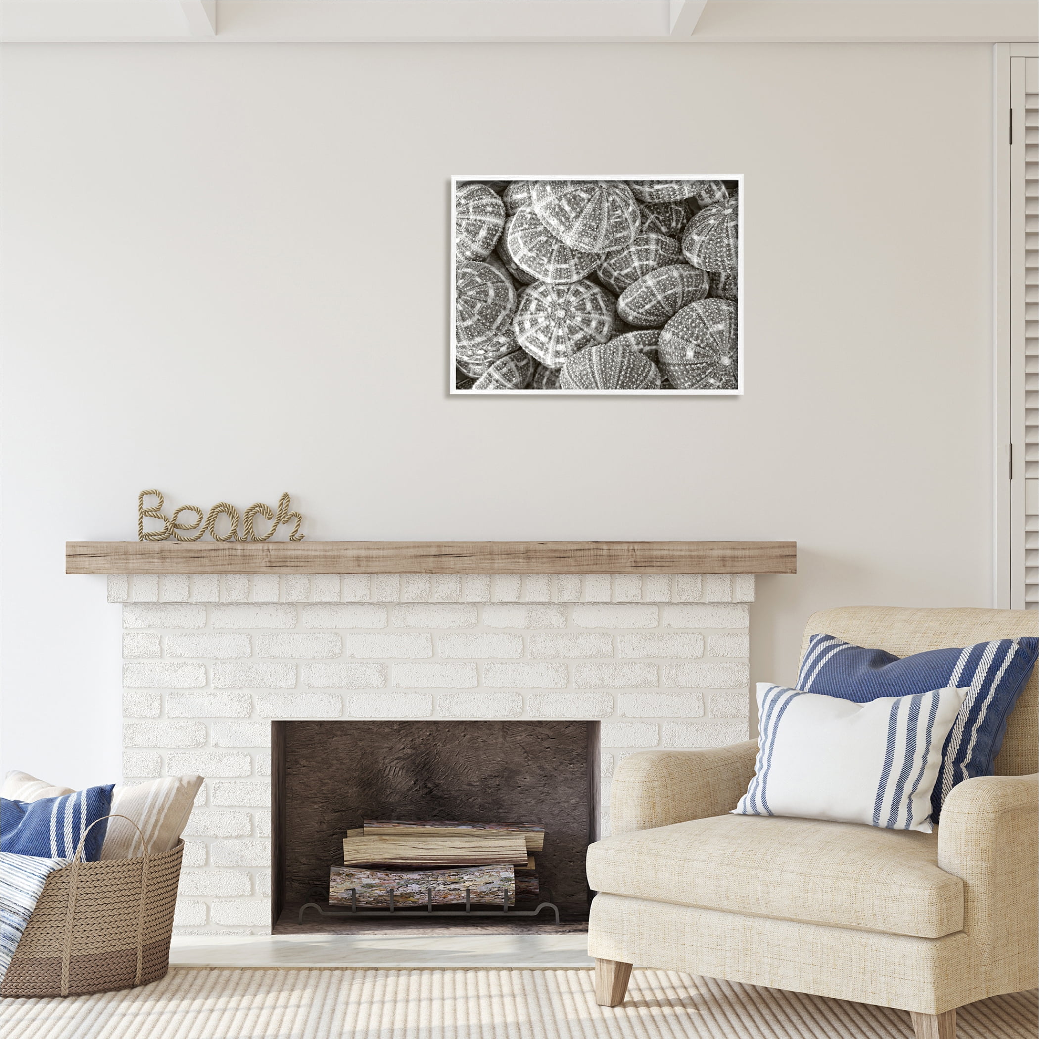 Stupell Industries Pewter Sea Urchins Photography Animals & Insects Photography White Framed Art Print Wall Art, 30 x 24