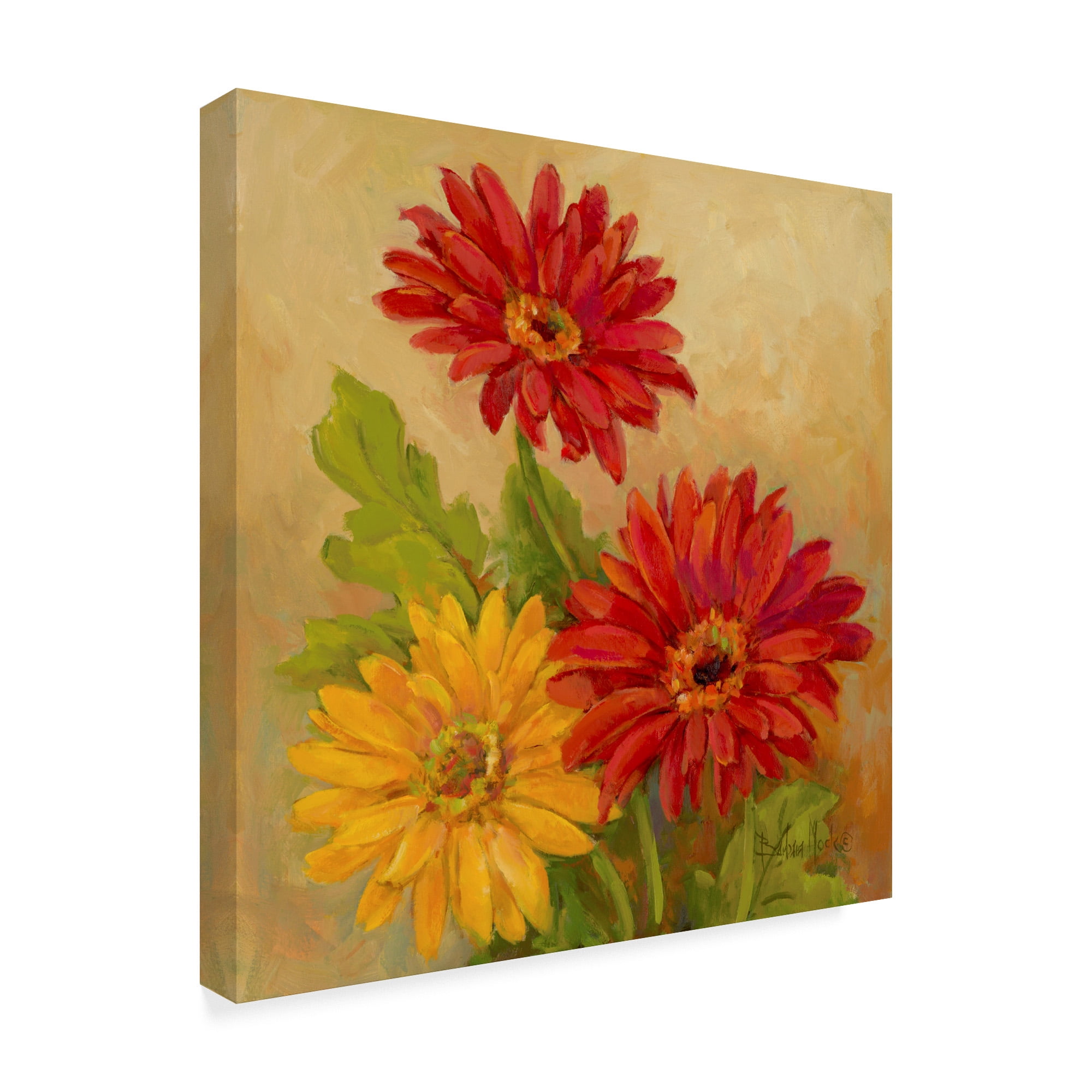 Trademark Fine Art ' Gerber Daisies' Canvas Art by Barbara Mock