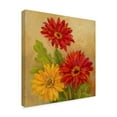 thumbnail image 2 of Trademark Fine Art ' Gerber Daisies' Canvas Art by Barbara Mock, 2 of 3