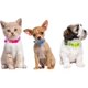 thumbnail image 1 of Collar Perros Y Gatos Ajustable Raza Pequeña Set 6 Piezas, 1 of 6