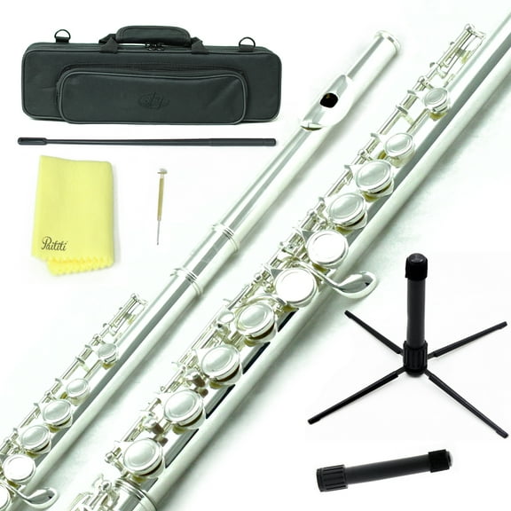 Sky Closed Hole C Flute with Lightweight Case, Cleaning Rod, Cloth, Joint Grease and Screw Driver - Silver