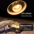 thumbnail image 3 of czcpp-Reptile Lampe Chauffante, 2 Ampoules 75W Intenses et Infrarouges pour Reptiles, Lumière de Nuit UVA Rouge pour Dragon Barbu, Lézard, Gecko, Reptile, 3 of 4