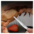 thumbnail image 4 of Seafood Tool Set Crustacean Set Stainless Steel Including Storage Box Lobster Cracker Lobster Pick Spoon Shrimp Tool, 4 of 7