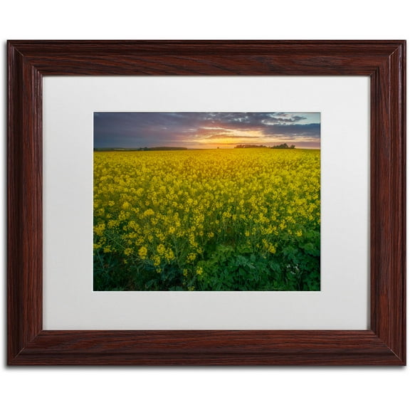 Trademark Fine Art "Yellow Planet" Canvas Art by Mathieu Rivrin, White Matte, Wood Frame